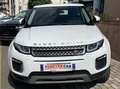 Land Rover Range Rover Evoque Range Rover Evoque 2.0 td4 Pure Business edition Blanc - thumbnail 2