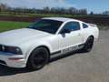 Ford Mustang Wit - thumbnail 1