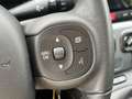 Fiat Panda 1.0 70pk Hybrid City Cross | Sensoren Achter | Cit Grijs - thumbnail 20