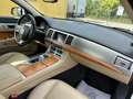 Jaguar XF 2,2 Diesel Luxury bijela - thumbnail 13