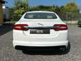 Jaguar XF 2,2 Diesel Luxury Білий - thumbnail 5