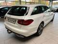 Mercedes-Benz C 220 d Avantgarde/AHK/ACC/KAMERA/LED/APP Blanc - thumbnail 5