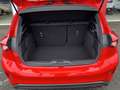 Ford Focus 1.0 EcoBoost 125pk ST-Line Business I WINTERSALE I Rouge - thumbnail 21