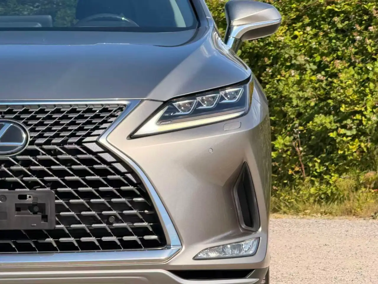 Lexus RX photo Lexus RX