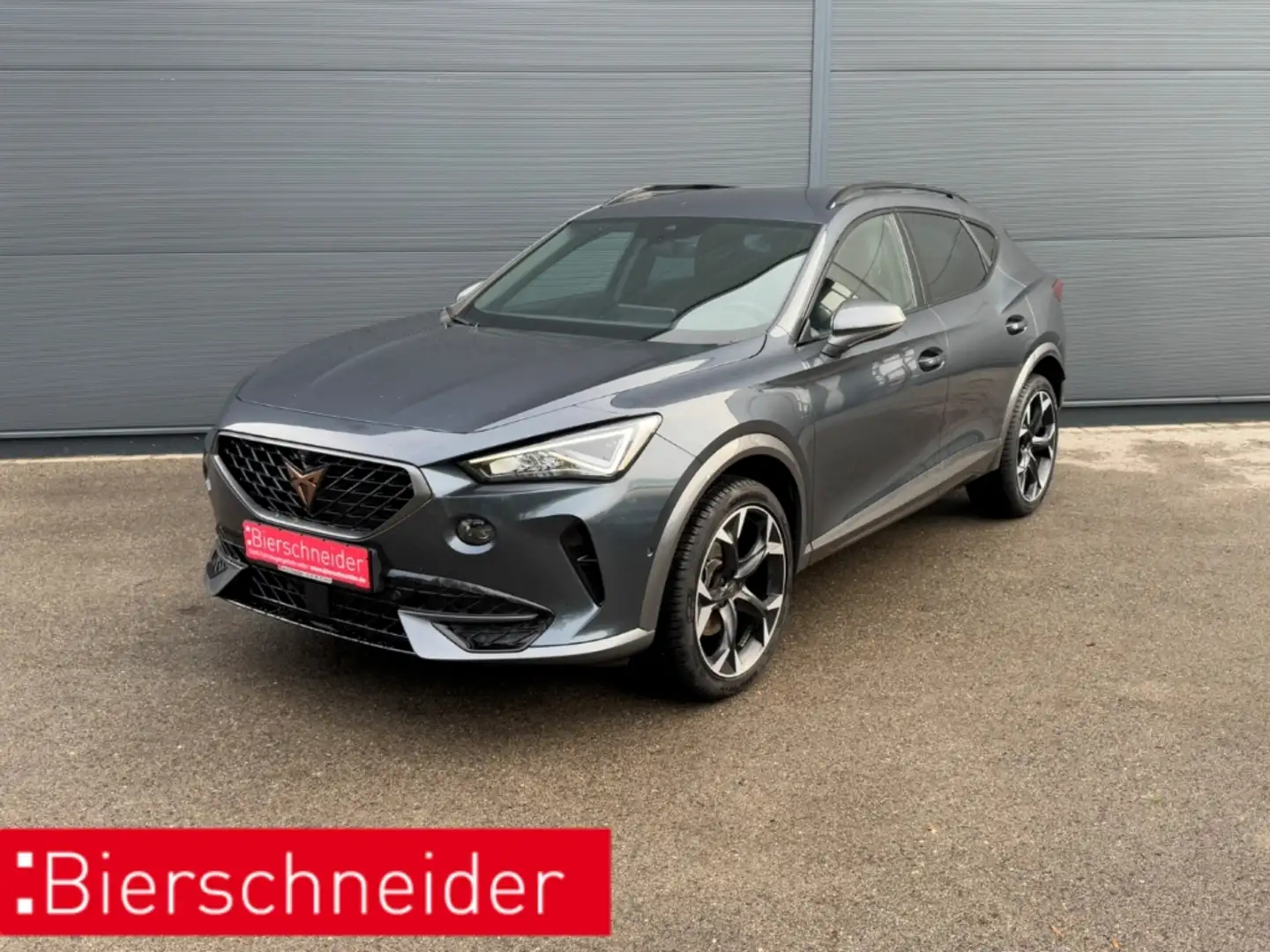CUPRA Formentor 1.5 TSI DSG 19+Navi Grau - 1