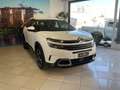 Citroen C5 Aircross BlueHDi 130cv EAT8 Business*CAMERA Bianco - thumbnail 3