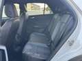 Volkswagen T-Roc 1.5 TSI ACT DSG Sport BlueMotion Technology Weiß - thumbnail 16