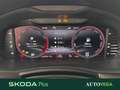 Skoda Kamiq 1.5 tsi monte carlo 150cv dsg Grijs - thumbnail 13