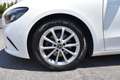Mercedes-Benz B 180 1.5d Sport Cambio Aut. Bianco - thumbnail 6