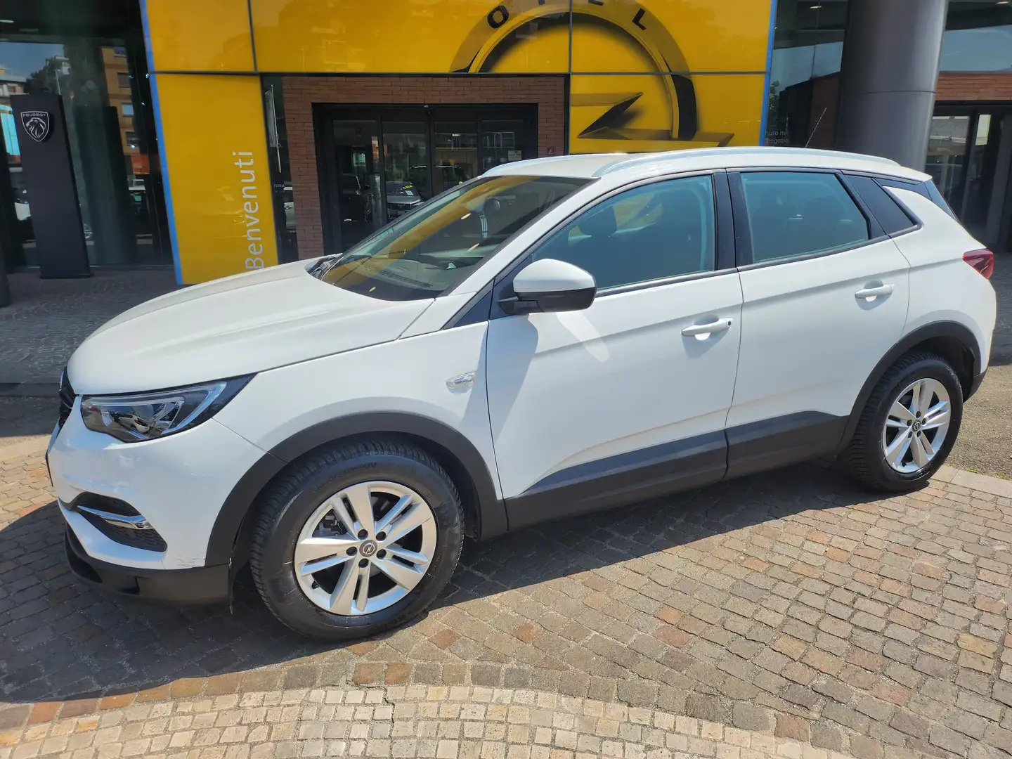 Opel Grandland X Grandland X 1.5 ecotec Business 130CV Wit - 2