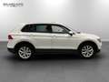 Volkswagen Tiguan 2.0 tdi Executive 4motion 150cv dsg Blanc - thumbnail 3