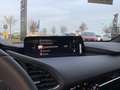 Mazda 3 5-Türer 2.5 AT Homura HUD Kamera PDC LED Schwarz - thumbnail 12