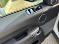 Land Rover Range Rover Sport 3.0D I6 183kW MHEV S AWD Auto. Weiß - thumbnail 22