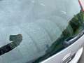 Ford Fiesta +nur an Händler/Export+ Grau - thumbnail 9