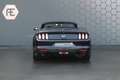 Ford Mustang Convertible 5.0 V8 GT | STOELKOELING/VERWARMING  | Zwart - thumbnail 12