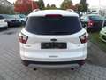 Ford Kuga Titanium, Allrad, Klima, Navi, HU-AU NEU Weiß - thumbnail 6