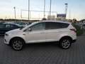 Ford Kuga Titanium, Allrad, Klima, Navi, HU-AU NEU Weiß - thumbnail 4