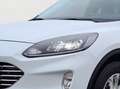 Ford Kuga 1.5 EcoBoost Titanium AHK/DAB/NAVI/LRH/FSH Білий - thumbnail 5