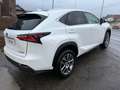 Lexus NX 300h NX 300h 2.5i AWD Dynamic Line E-CVT/ 12 M GARANTIE Blanc - thumbnail 4