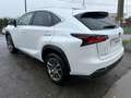 Lexus NX 300h NX 300h 2.5i AWD Dynamic Line E-CVT/ 12 M GARANTIE Blanc - thumbnail 6