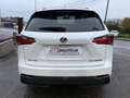 Lexus NX 300h NX 300h 2.5i AWD Dynamic Line E-CVT/ 12 M GARANTIE Blanc - thumbnail 5
