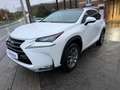 Lexus NX 300h NX 300h 2.5i AWD Dynamic Line E-CVT/ 12 M GARANTIE Blanc - thumbnail 1