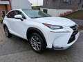 Lexus NX 300h NX 300h 2.5i AWD Dynamic Line E-CVT/ 12 M GARANTIE Blanc - thumbnail 3