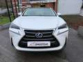 Lexus NX 300h NX 300h 2.5i AWD Dynamic Line E-CVT/ 12 M GARANTIE Blanc - thumbnail 2
