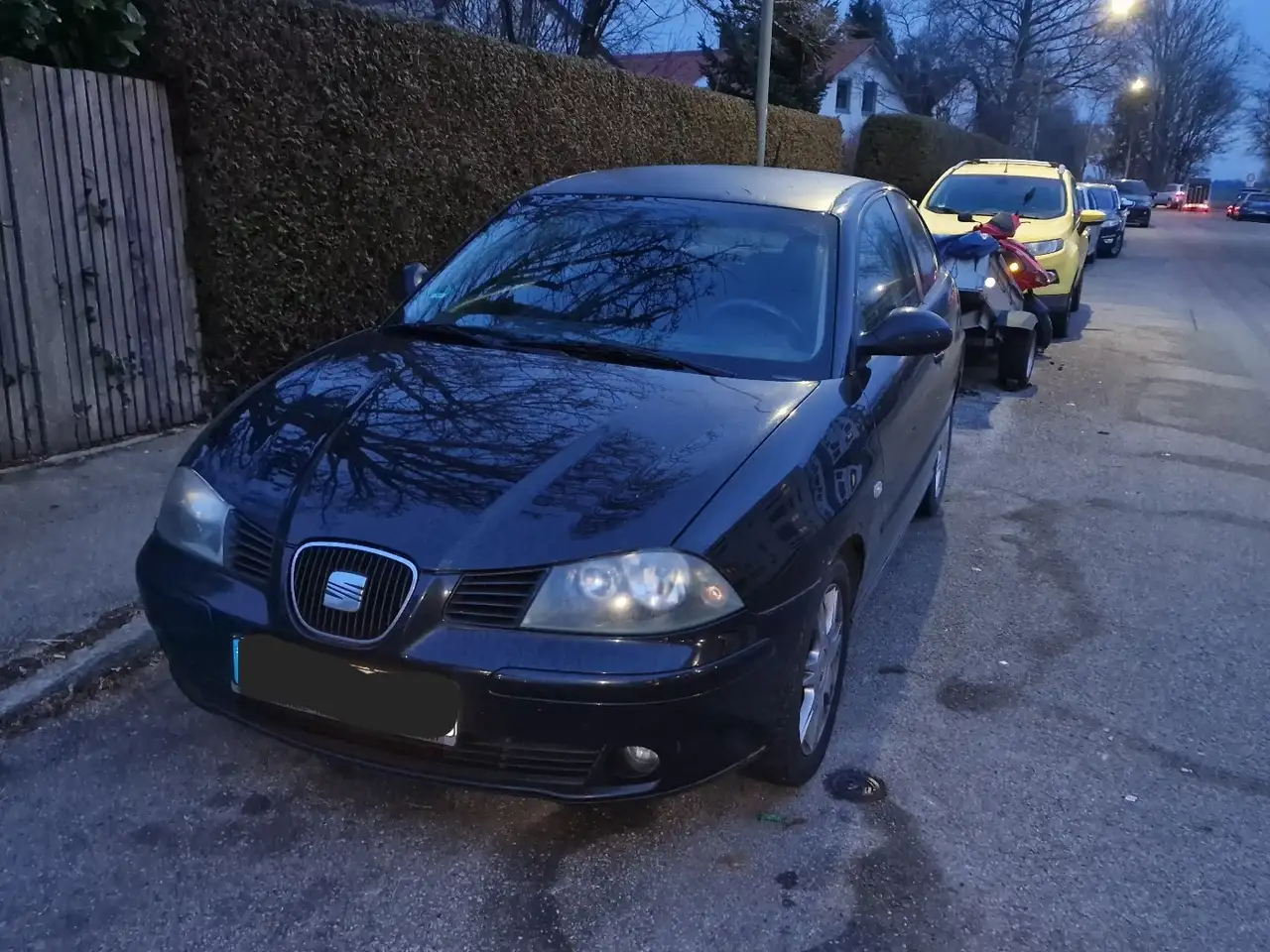SEAT Ibiza