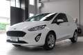 Ford Fiesta 1.5 TDCi 85 CV 3 porte Van Trend Bianco - thumbnail 15