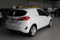 Ford Fiesta 1.5 TDCi 85 CV 3 porte Van Trend Bianco - thumbnail 4