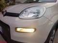 Fiat Panda Panda 1.3 MJT 95 CV S&S 4x4 Beige - thumbnail 20