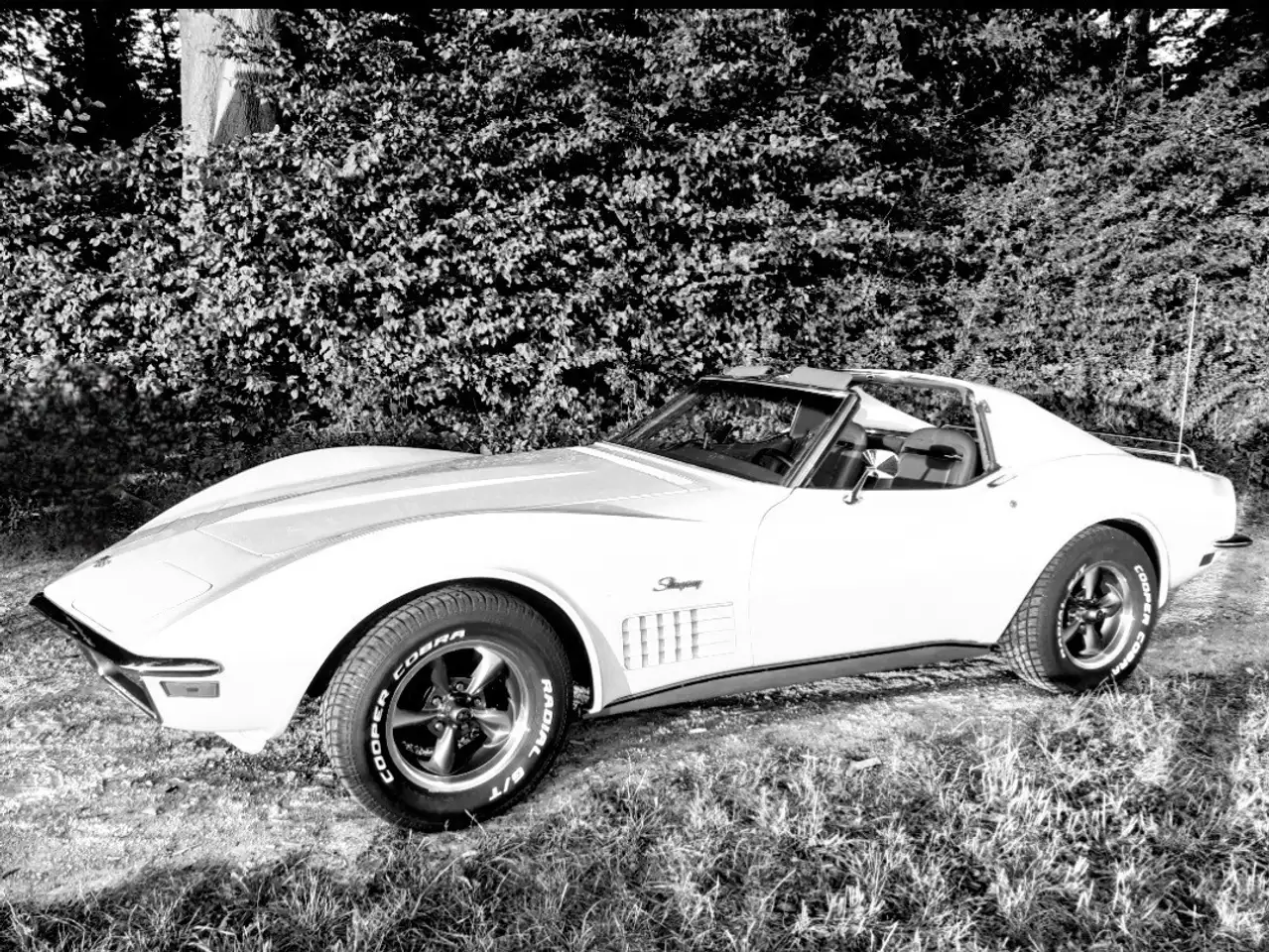 Corvette C3, foto 1