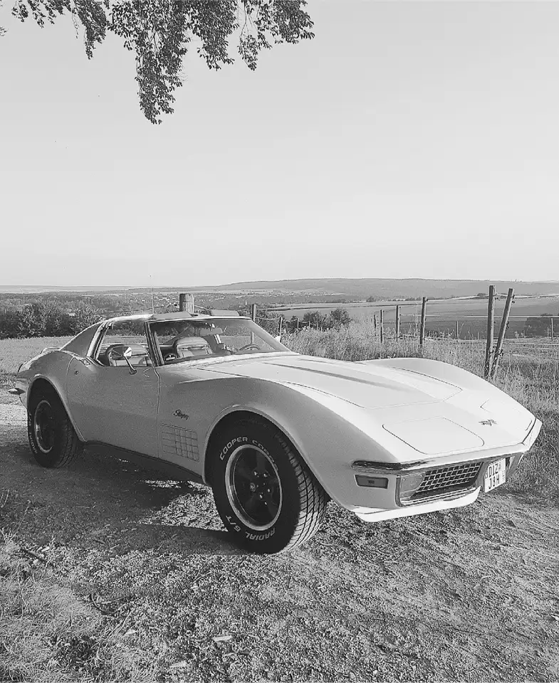 Corvette C3, foto 2