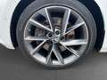 Skoda Superb Sportline 4x4 AHK Kamera Pano Weiß - thumbnail 16