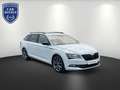 Skoda Superb Sportline 4x4 AHK Kamera Pano Weiß - thumbnail 2