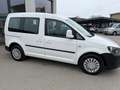 Volkswagen Caddy Kombi Trendline 1,6 TDI DPF Weiß - thumbnail 3
