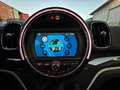 MINI Cooper Countryman Mini 1.5 Cooper SE Hype Countryman ALL4 Automatica Verde - thumbnail 13