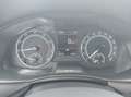 Skoda Kamiq 1., TSI Style DSG Grau - thumbnail 14