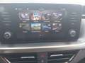Skoda Kamiq 1., TSI Style DSG Grau - thumbnail 11