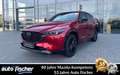 Mazda CX-5 2.5 (194PS) FWD Autom. Homura Allwetterr. 3 Rot - thumbnail 1
