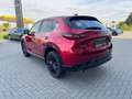 Mazda CX-5 2.5 (194PS) FWD Autom. Homura Allwetterr. 3 Rot - thumbnail 6