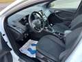 Ford Focus 1.0 First Edition Wit - thumbnail 14