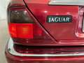 Jaguar XJ XJ6 4.0S cat Rosso - thumbnail 14