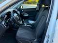 Audi Q3 35 2.0 tdi Business Advanced quattro Weiß - thumbnail 10