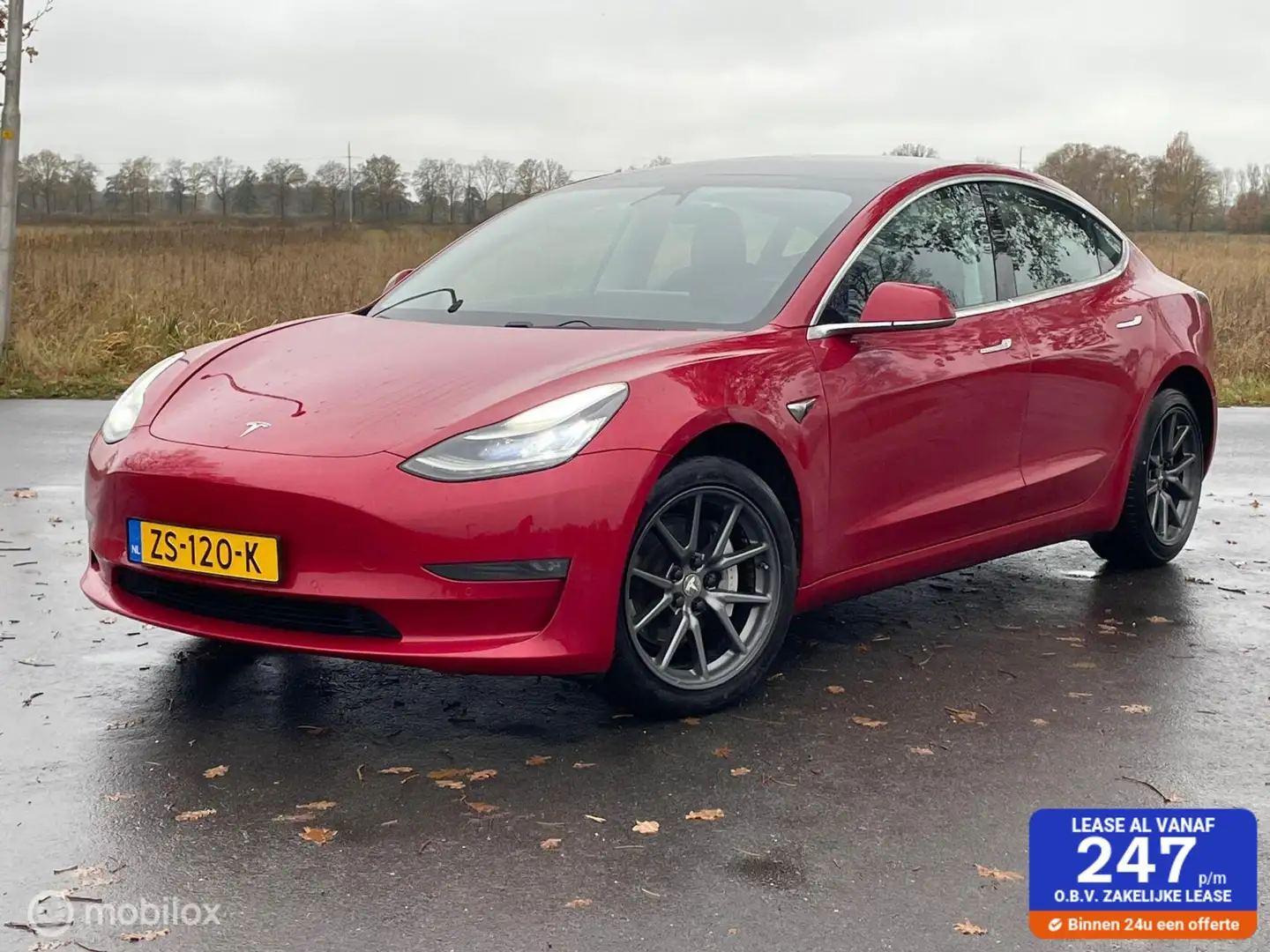Tesla Model 3 Standard Plaid RWD Plus Rot - 1