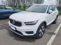 Volvo XC40 XC40 1.5 t5 phev Inscription Expression - GG113ZY Bianco - thumbnail 2