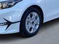 Kia Ceed / cee'd Vision 1.5T DCT7 Kamera Navi ACC Klima DAB+ Blanc - thumbnail 6