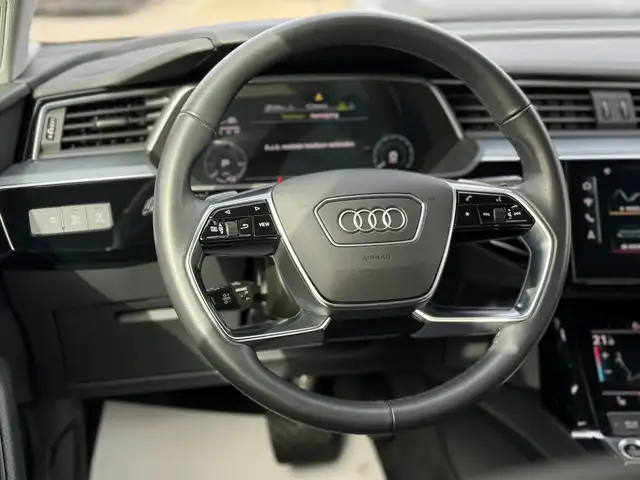 Audi E-Tron view 10