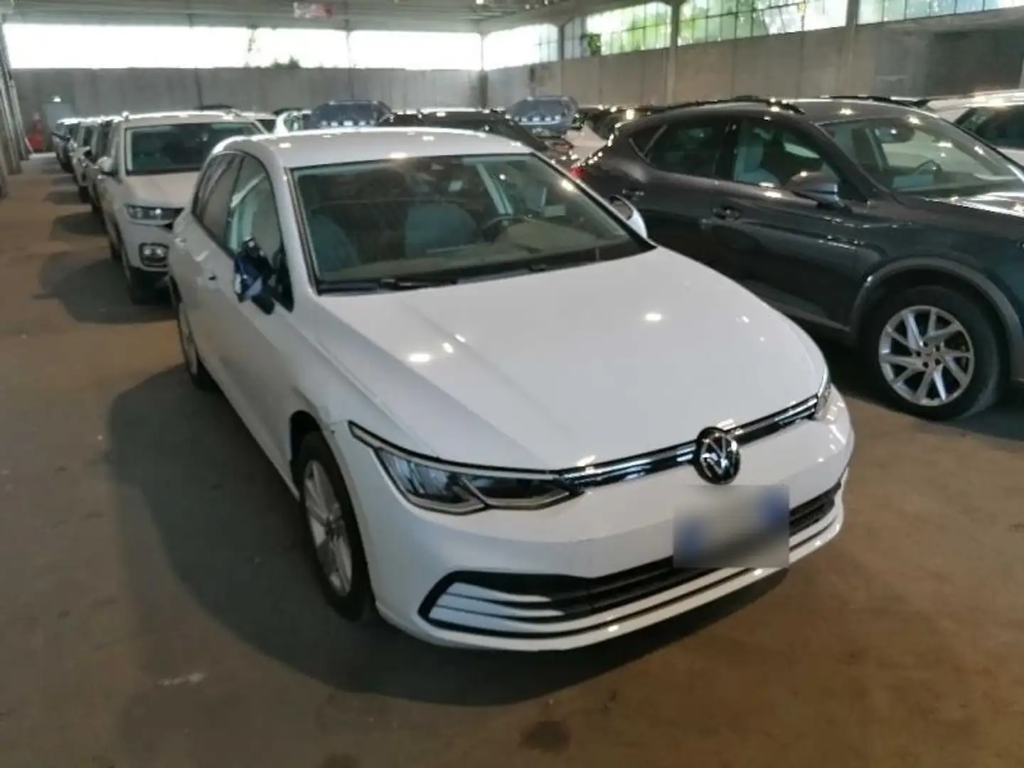 Volkswagen Golf Golf 1.0 TSI EVO Life OK NEOPATENTATI Blanc - 2